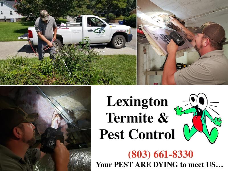 Lexington Termite & Pest Control
