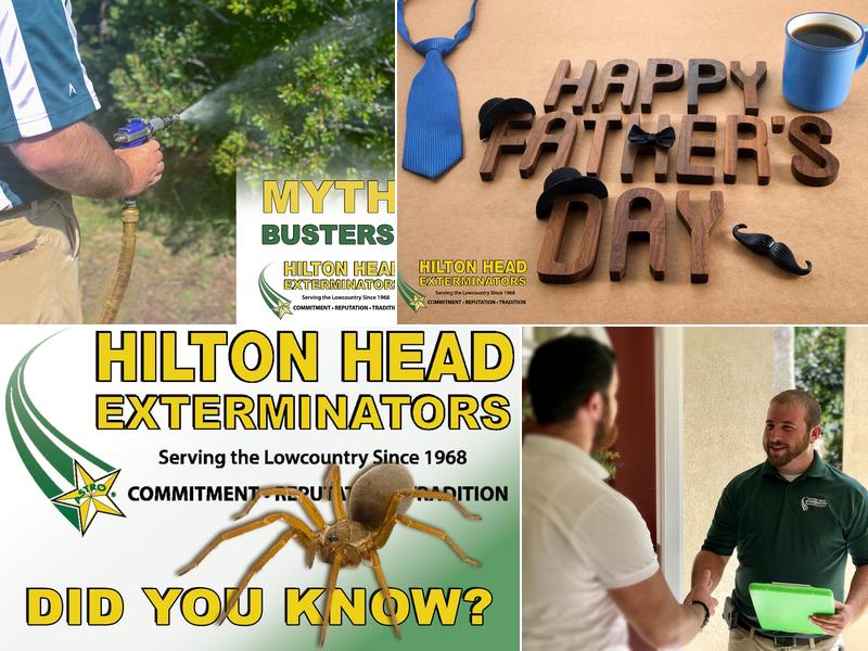 Hilton Head Exterminators