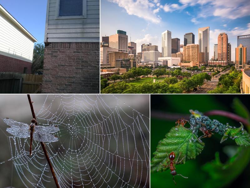 Pioneer Exterminating Co Inc