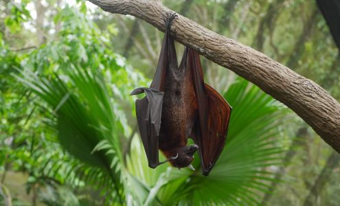 Esparza Pest Control