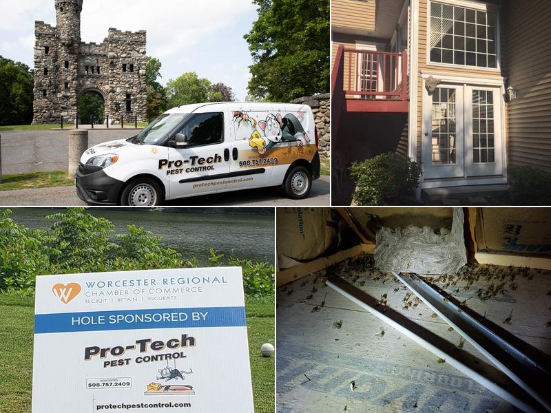 Pro-Tech Pest Control