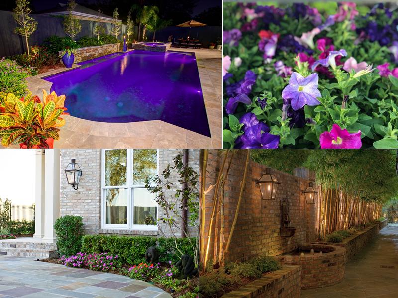 Anthony's Custom Pools & Outdoor Living