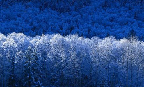 St Boni Appliance-Refrigeration Services Saint Bonifacius