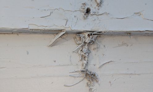 Colorado Hazard Control, LLC