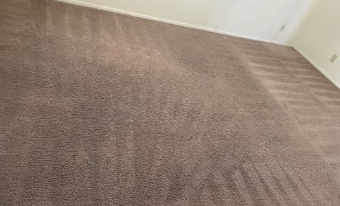 Green Carpet Cleaning