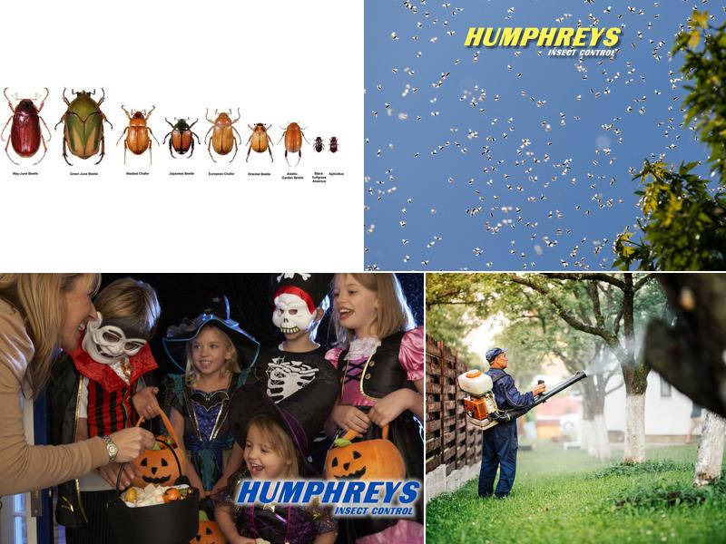 Humphreys Insect Control
