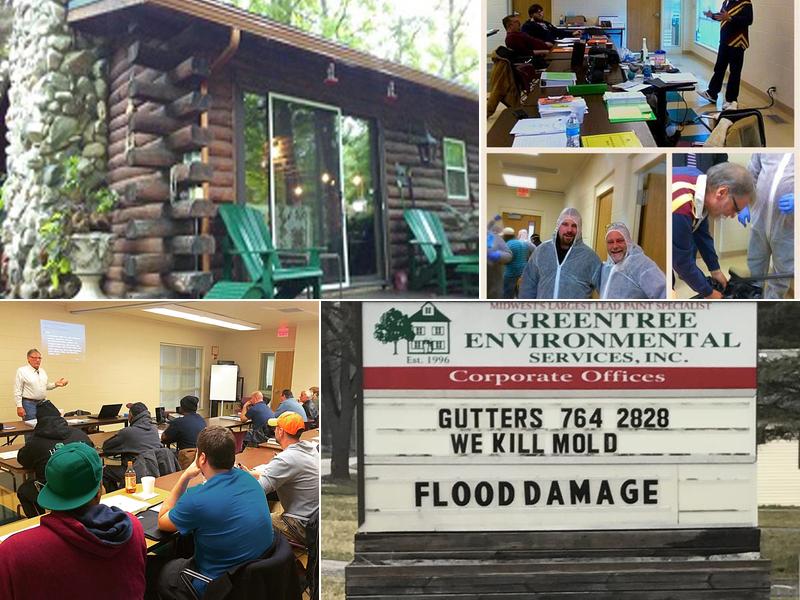 Greentree Environmental, Mold Remediation, & Lead-Based Paint Services