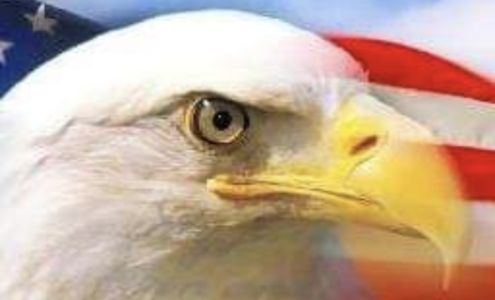 Thomas Appliance Repair