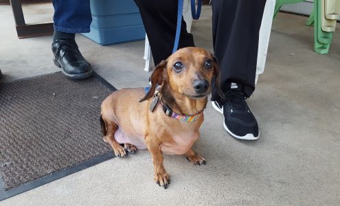 Nace Appliance Repair