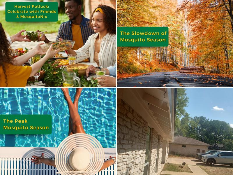 MosquitoNix Mosquito Control and Misting Systems