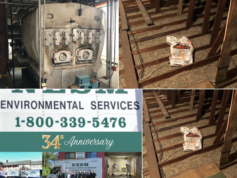 New England Surface Maintenance