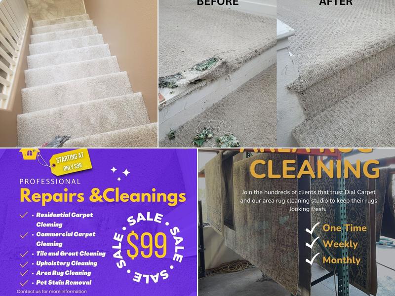 Dial Carpet Cleaning and Maintenance