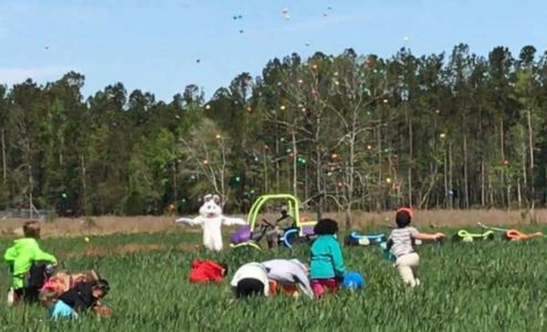 Galloway Farm (Home of Maze Craze) Hallsboro