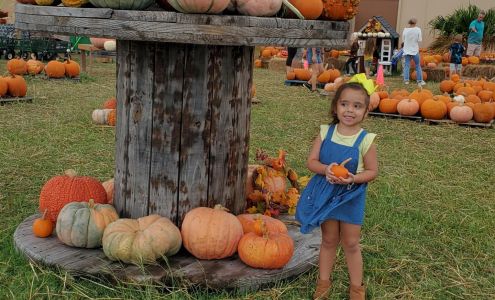 Methodist Day School