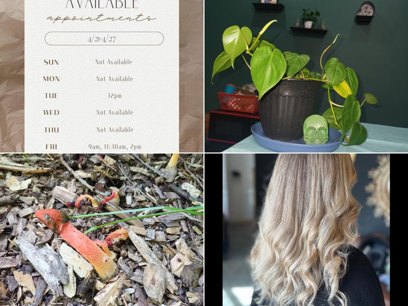 Curl Up and Dye Salon