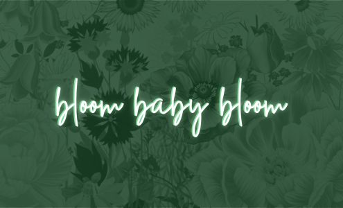 Wild Thorn Beauty Studio