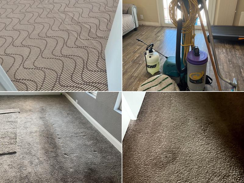 Martin Carpet and House Cleaning Services