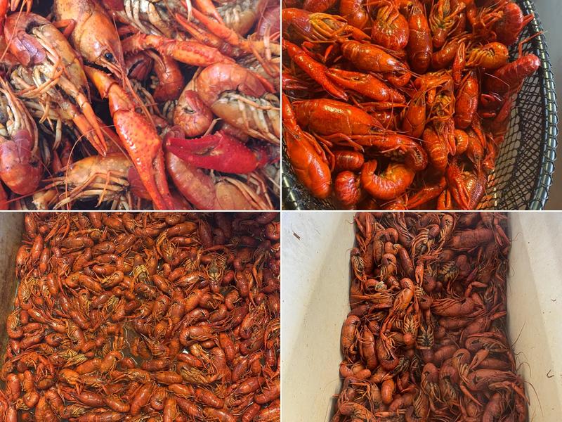 Bo's Seafood Too