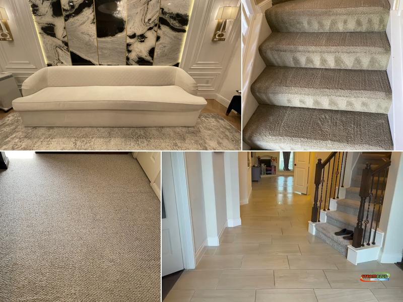 SteamPlus Carpet Cleaning