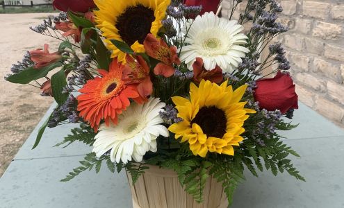 Tis the Reason Sanderson