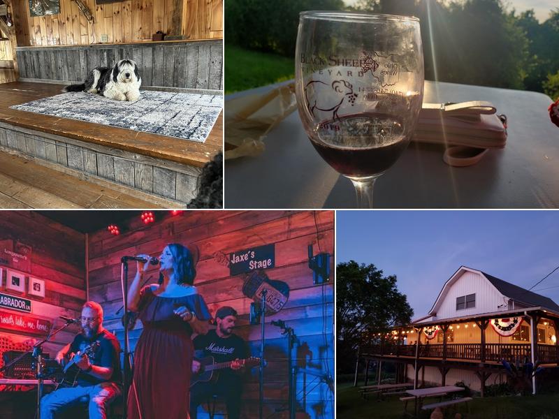 Black Sheep Vineyard Inc.