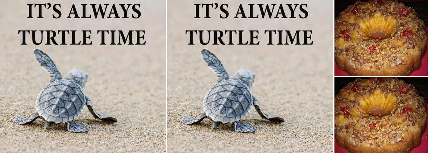 Velvet Turtle Lounge