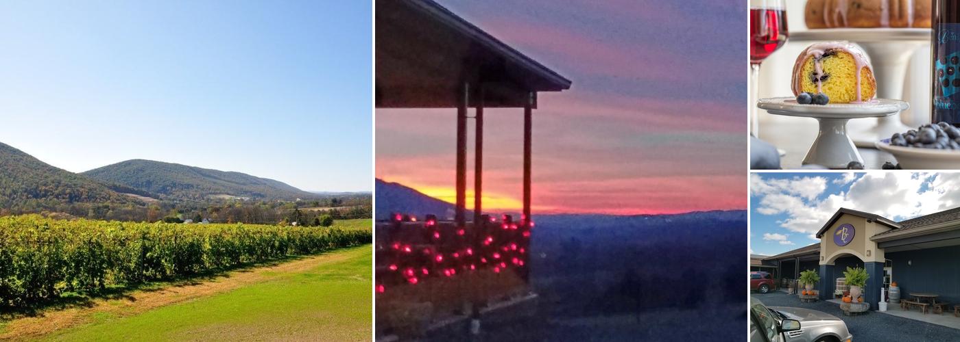 Benigna's Creek Vineyard & Winery