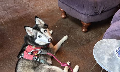 The Stoat Granite Falls