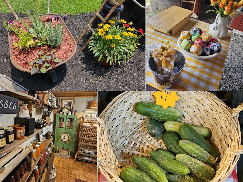 The Oneida Primative Barn 1296 Niggs Creek Rd, Oneida