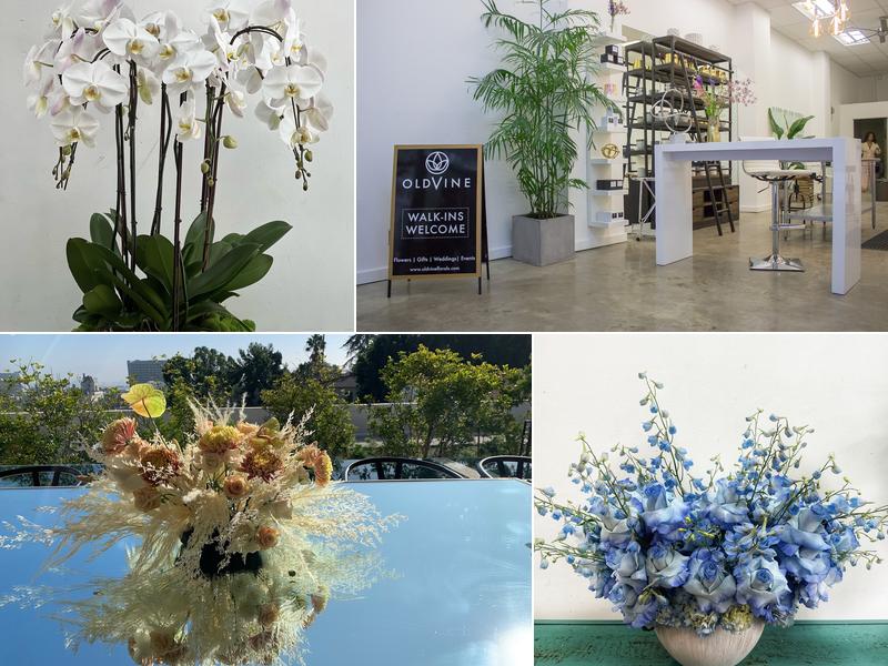 Oldvine Florals