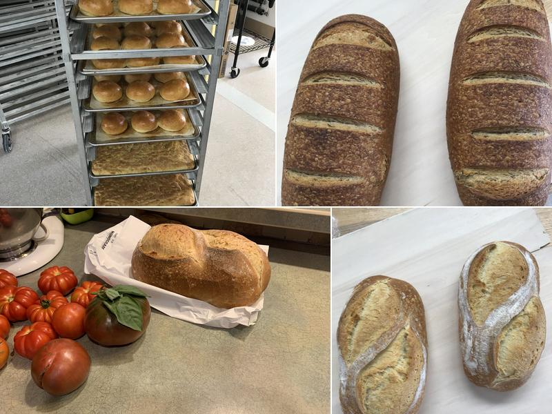 Saverio's bakery 625 W Centennial Blvd, Springfield