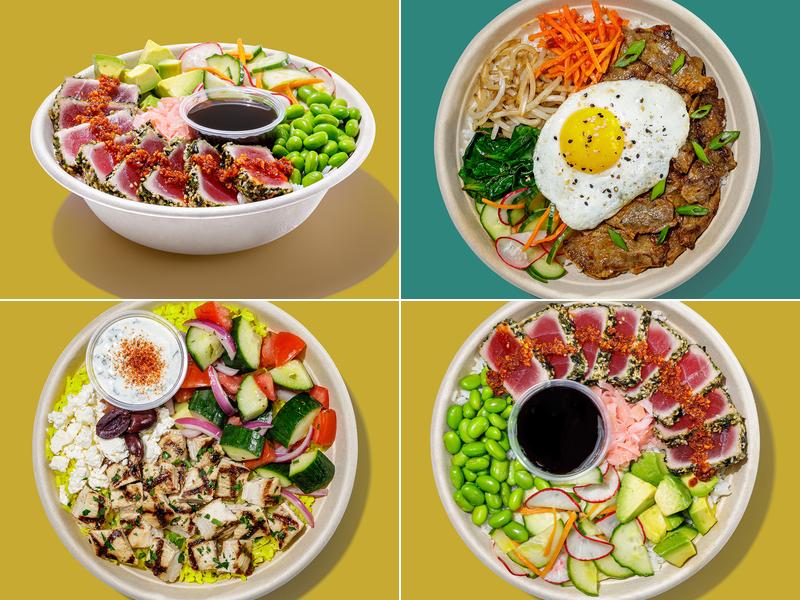 Roadtrip Bowls Made by Lazy Dog
