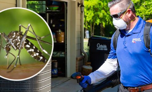 Bigham Pest Services 1141 Monticello St SW, Covington Georgia 30014