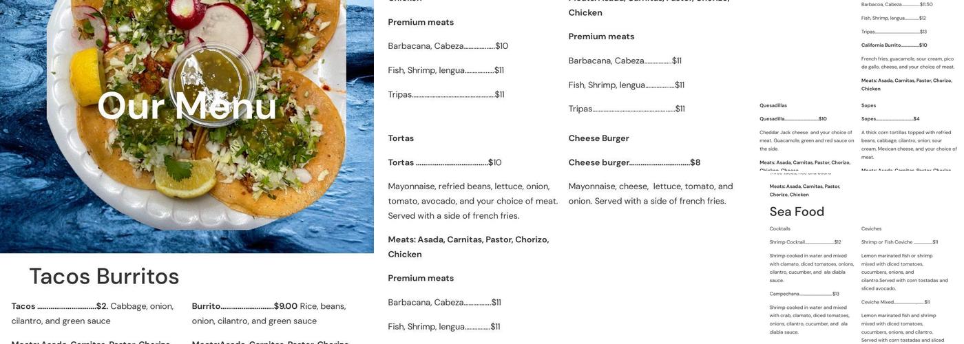 Taqueria Hermanos Aleman Menu