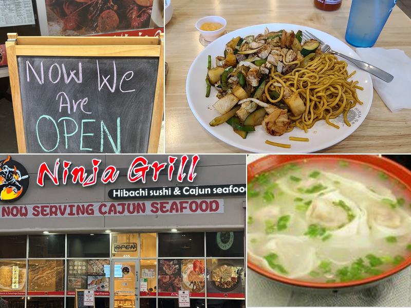 Ninja Grill