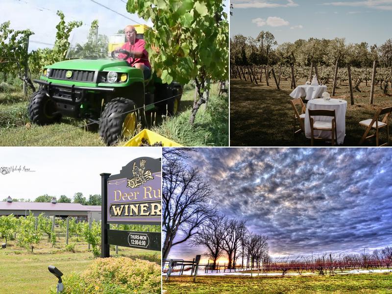 Deer Run Winery 3772 W Lake Rd, Geneseo