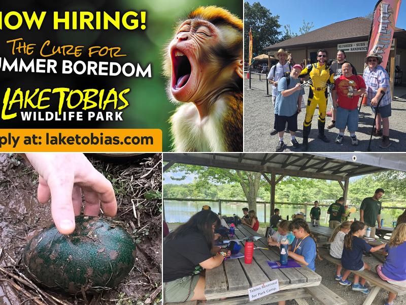 Lakeside eats Lake Tobias Wildlife Park, Safari Tours and Concession Stand, 760 Tobias Rd, Halifax