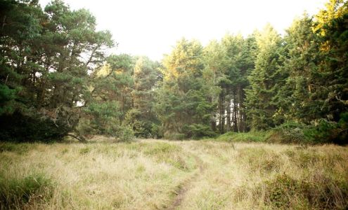 Inn at the Cobbler's Walk Little River