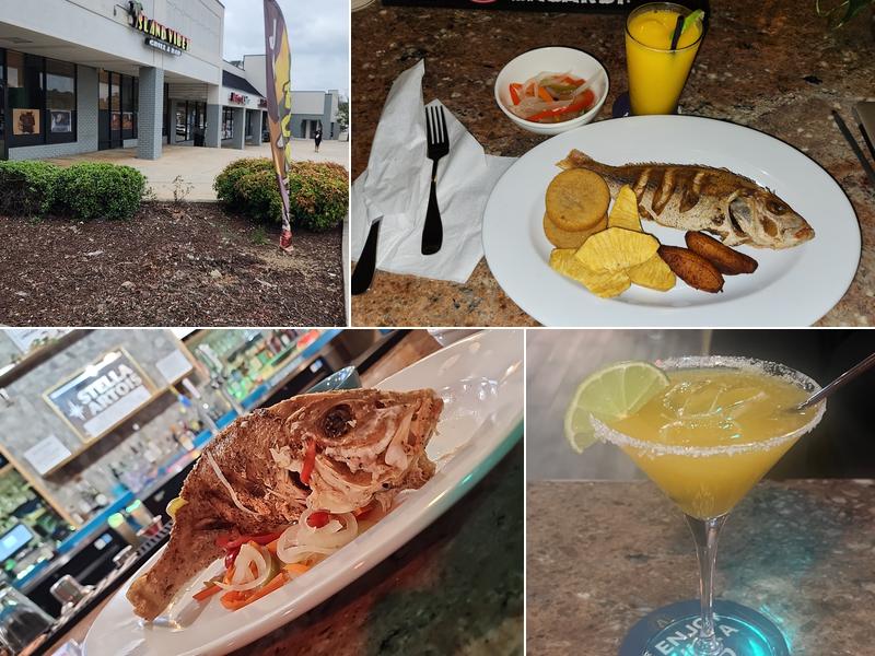 ISLAND VIBEZ GRILL INC