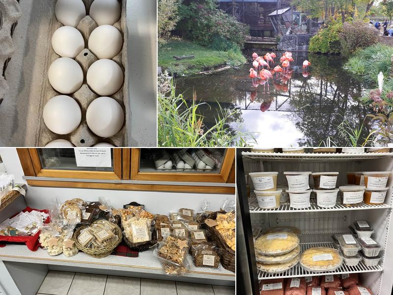 Egg Basket The 240 Embury Rd, Newburgh