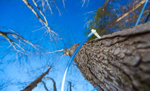 La Paysannerie Bristol