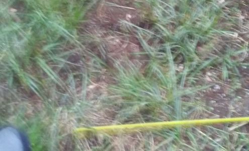 Shell Thetford Mines