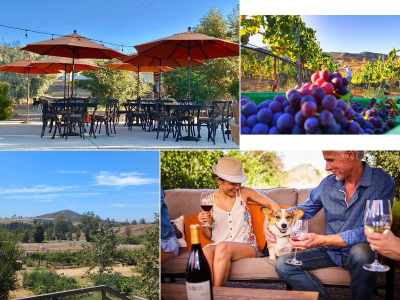 Domaine Artefact Vineyard & Winery