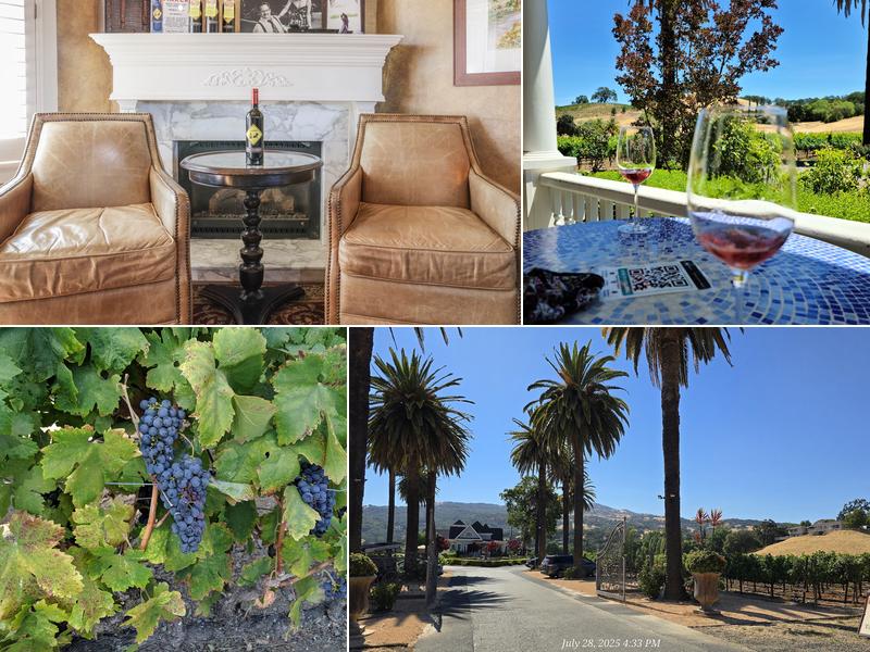 Vezér Family Vineyard - Blue Victorian