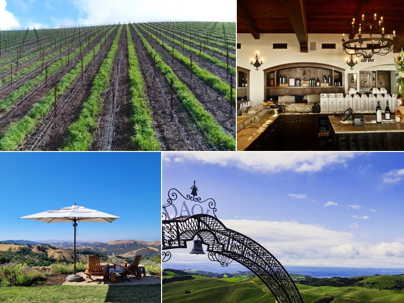DAOU Vineyards 2777 Hidden Mountain Rd, Paso Robles