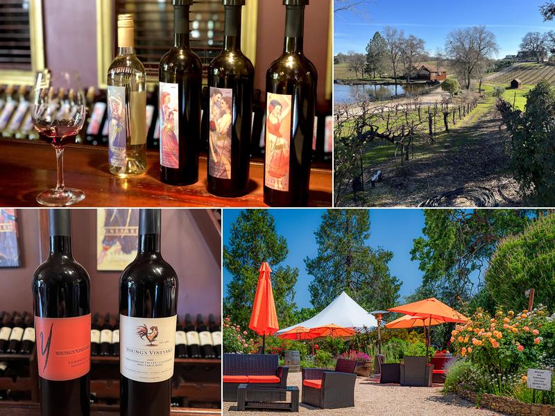 Young's Vineyard 10120 Shenandoah Rd, Plymouth