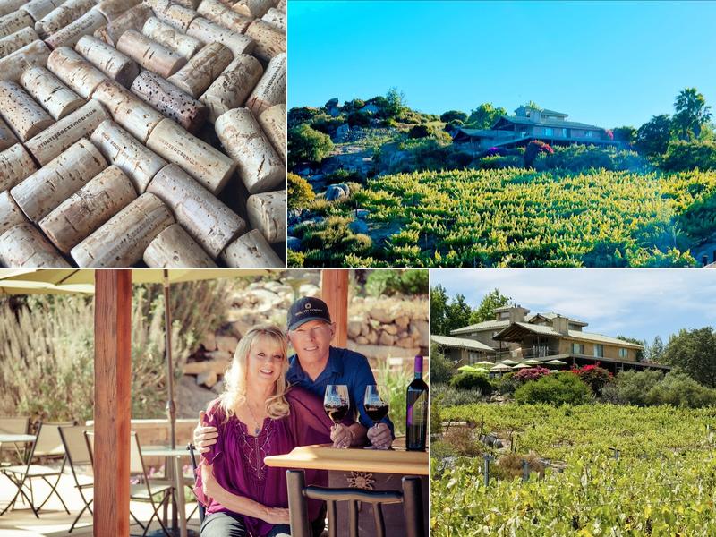 Turtle Rock Ridge Vineyard Winery