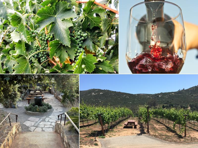 Vineyard Grant James