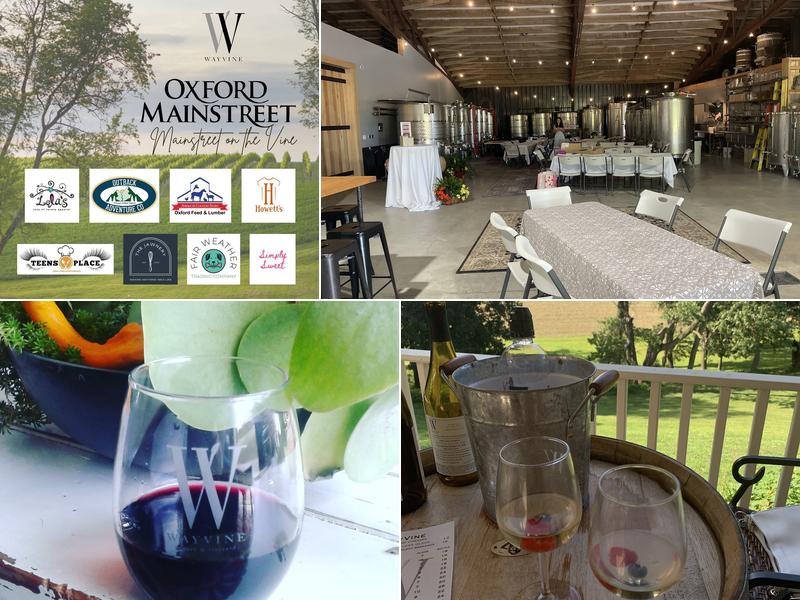 WAYVINE winery & vineyard 4374 Forge Rd, Nottingham