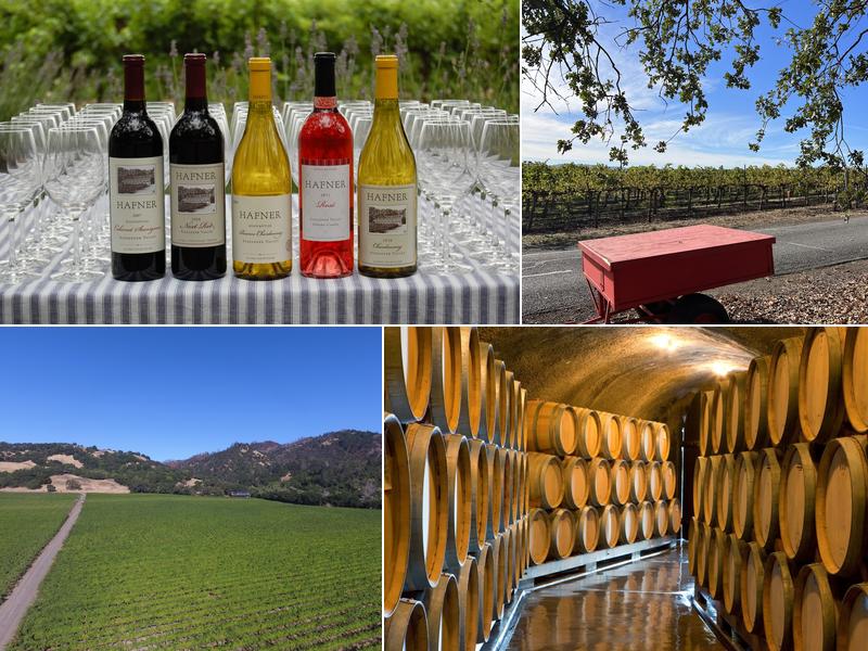 Hafner Vineyard